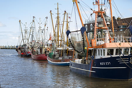 Fischer, Cutter, Port, laut, kapal, perahu nelayan, air