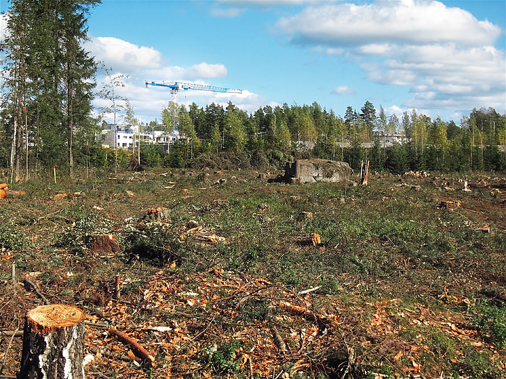 desmatada, construção, arredores, Helsinki, Finlândia, meio ambiente, desmatamento