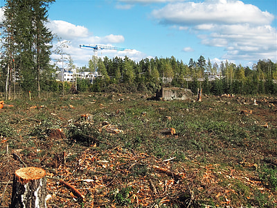odlesněná, stavebnictví, předměstí, Helsinky, Finsko, prostředí, odlesňování