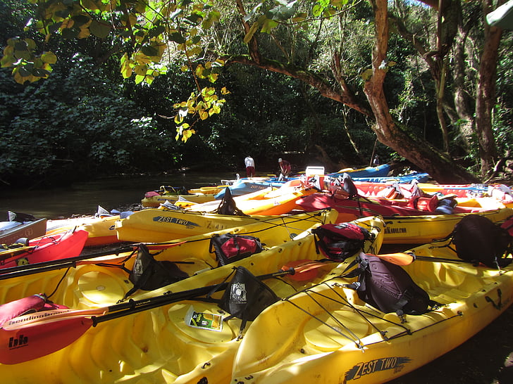 kayak, rivière, Wailua rivière, Kauai, Hawaii