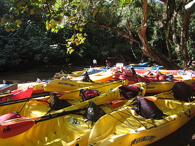 kayak, rivière, Wailua rivière, Kauai, Hawaii