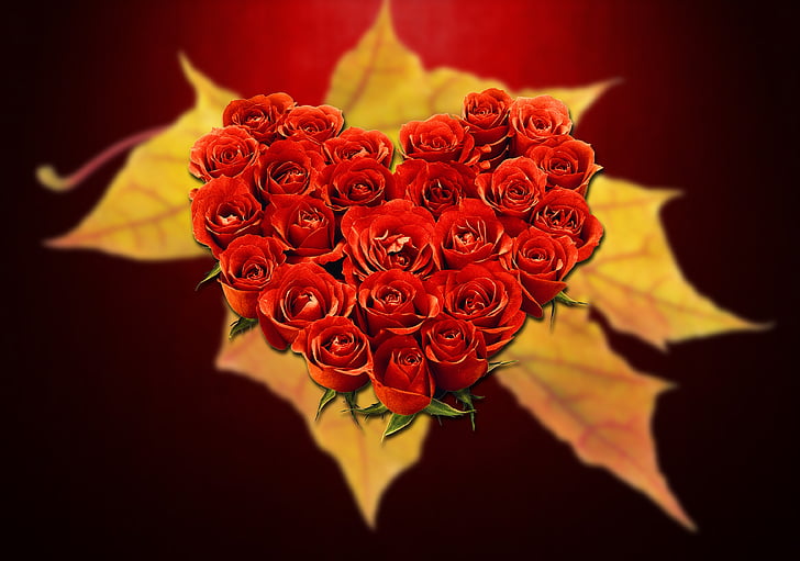 Любов, сърце, ден на Свети Валентин, червен, обич, сърца, страст