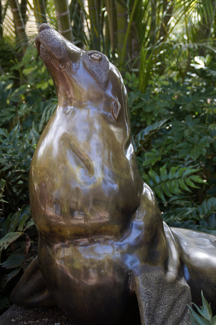 sea lion, statue, figure, sculpture, shiny, bronze, zoo