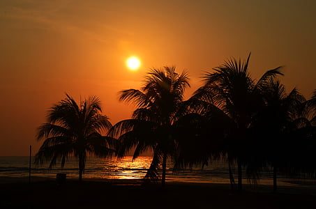 pôr do sol, Palm, mar, praia, viagens, oceano, árvore
