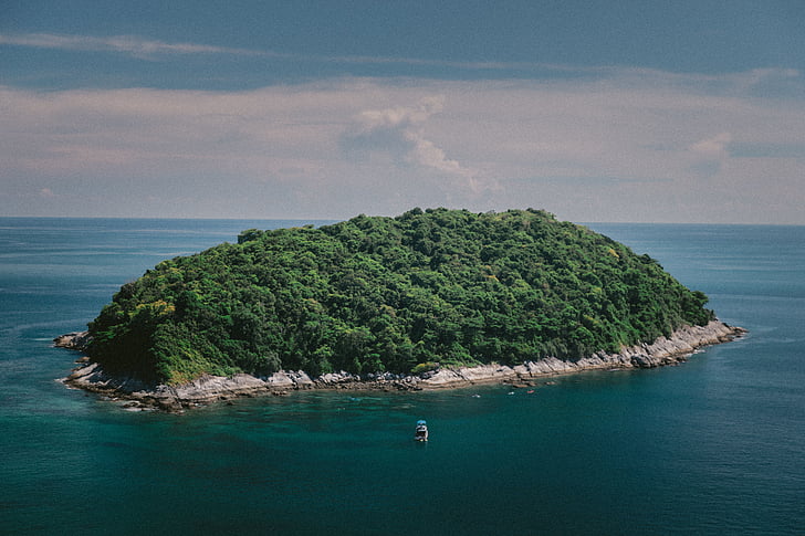 green, trees, plant, nature, forest, island, sea