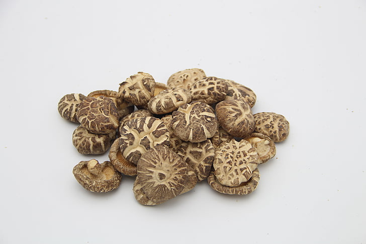 shiitake mushroom, champignon