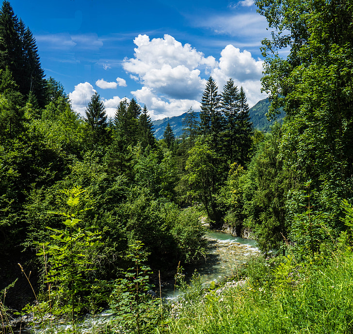 Liechtensteinklamm, Wąwóz, Austria, wody, skały, Natura, krajobraz