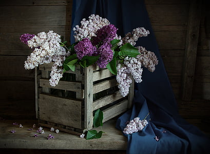 vẫn còn sống, Lilac, bóng tối, bó hoa, đám cưới, gỗ - tài liệu, Hoa