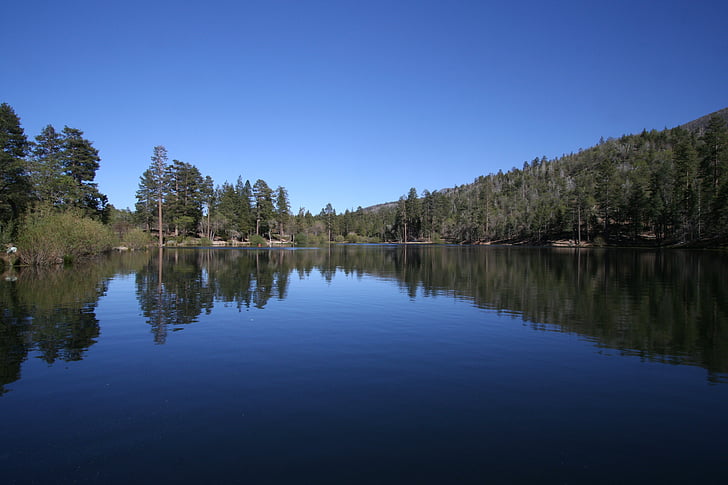 søen, Jenks sø, blå himmel, refleksioner på vandet, skov, mørk blå vand, nåletræer