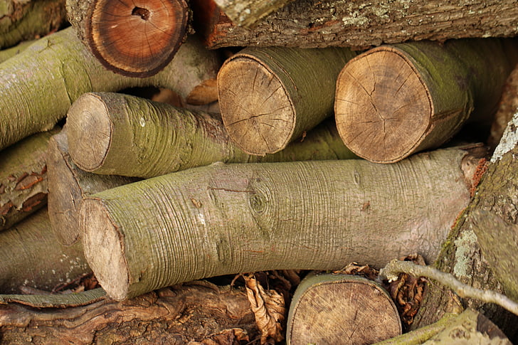 registro, árbol, madera, madera, de la madera, bosque, industria