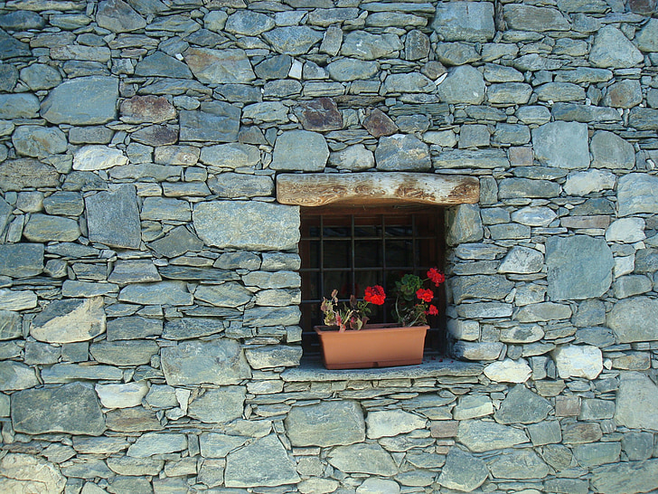 Герани, каменна стена, къща