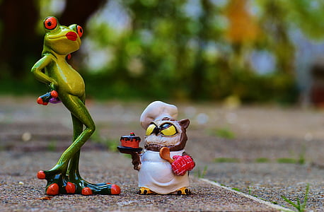 frog, owl, bake, love, i beg your pardon, cake apology, cake