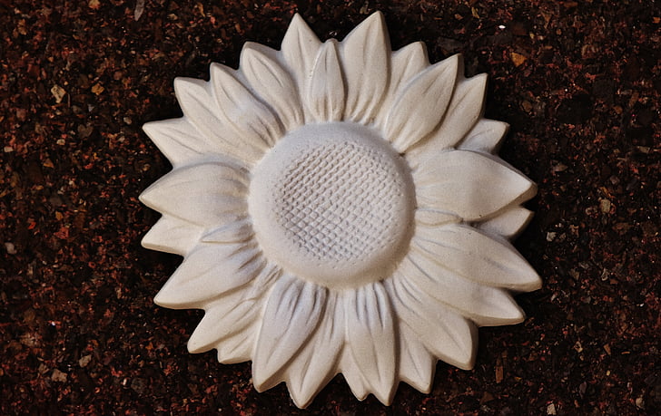 sun flower, gypsum, blank, unpainted, white, nature