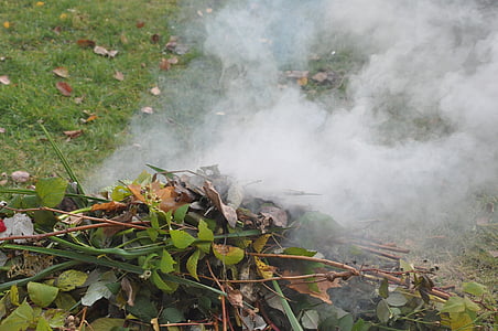 Röker, ett utbrott av, trädgård, hösten, rensning, lövverk, picknick