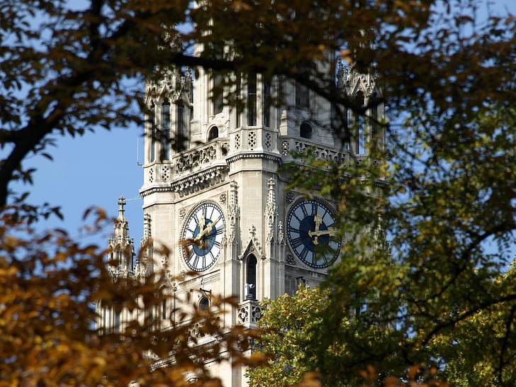 Vienna, Wiener, Municipio, Austria, neo gotico, autunno, alberi