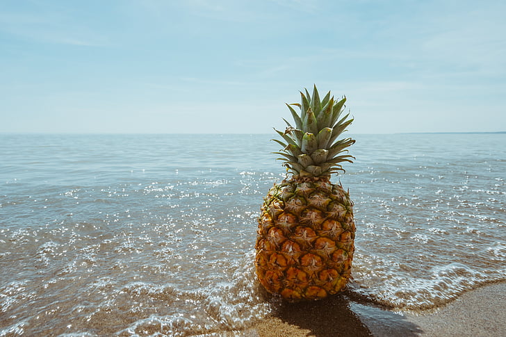 beach, fruit, horizon, ocean, pineapple, sand, sea