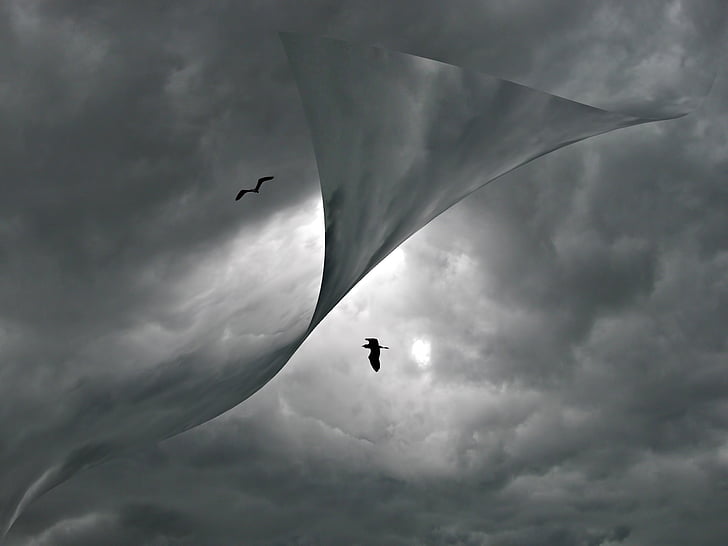 molnlandskap, fåglar, moln, Väder, grå, abstrakt, Graphic