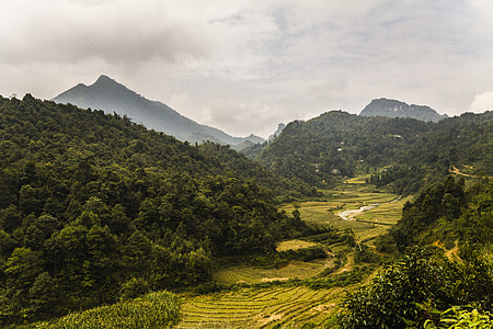 Vietnamas, kelionės, Azija, turizmo, Rodyti, Gamta, kraštovaizdžio