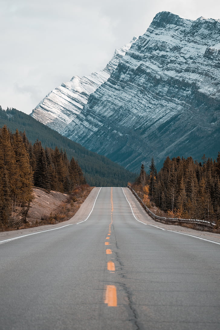 empty, gray, road, trees, near, white, mountain