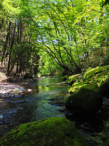 Ποταμός, πράσινο, Ιαπωνία, νερό, φυσικό νερό, ASO, Kumamoto
