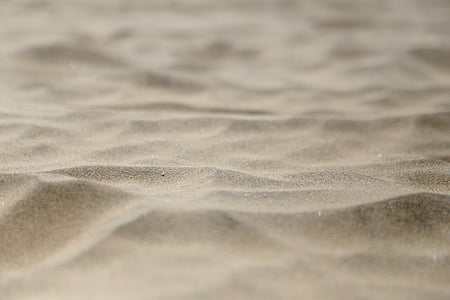 pijesak, plaža, mikro, priroda, pozadina, more, ljeto