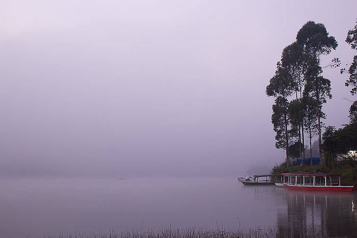 езеро, лодки, вода, мъгливо, на открито, пейзаж, гребане