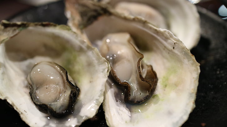 Oyster, Shell, vongole, Baia di asciutto, frutti di mare, prodotti del mare, barbecue