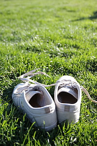 运动鞋, 暑假, 草坪, 夏天芬兰, 夏季, 阳光, 赫尔辛基