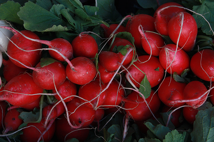 radishes, food, red, tubers, vegetables