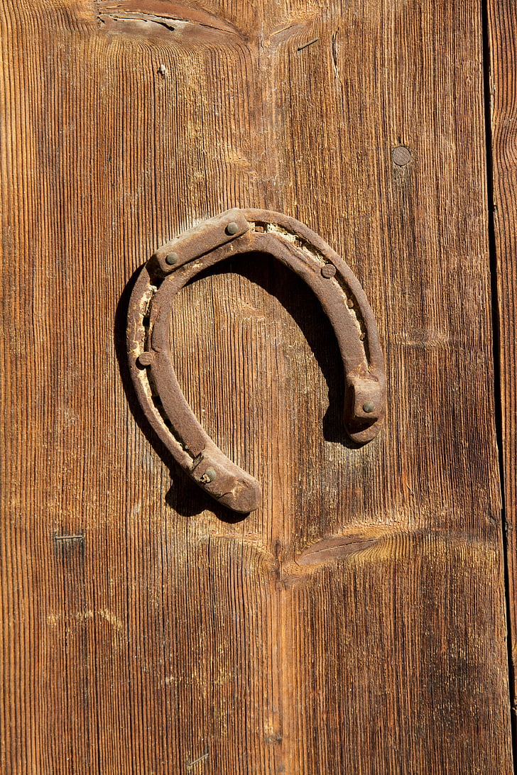horseshoe, wood, lucky charm, luck, wood - Material, door, old