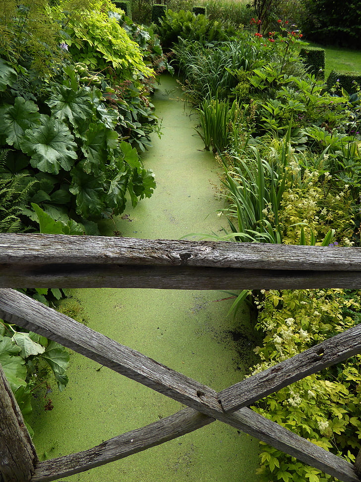 pont en bois, Brook green, pont ruisseau lentilles d’eau, Scenic, planches en bois, nature