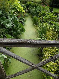 drveni most, potok zeleni, mostu potok vodena leća, slikovit, drvene daske, priroda