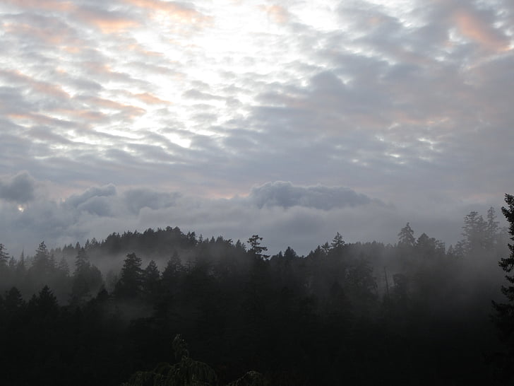 гора, мъгла, Грей, Британска Колумбия, Канада