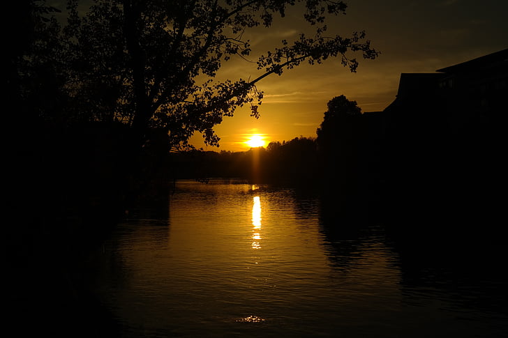 solnedgång, floden, Donau, vatten, träd, gren, solen