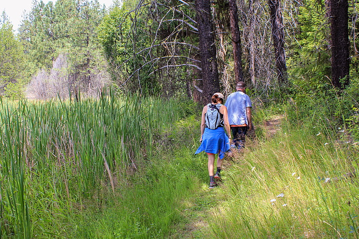 caminata, senderismo, pareja, activo, naturaleza, bosque, Marsh