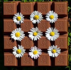 шоколад, се възползват от, вкусни, гризане, Сладко, подарък, Любов