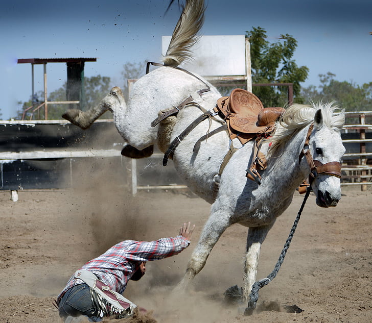 Rodeo, arklys, baltas arklys, veiksmo scenos fotografavimas, kaubojus, kaubojus fone, jojimo