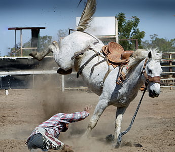 Rodeo, arklys, baltas arklys, veiksmo scenos fotografavimas, kaubojus, kaubojus fone, jojimo