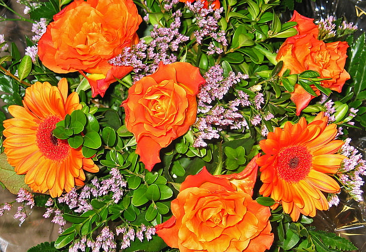 pušķis, Gerbera, ziedi, dzimšanas dienas pušķis, Dekoratīvie, griezti ziedi, oranža