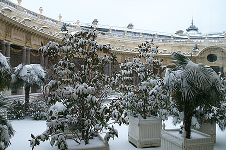 paris, france, winter, snow, ice, palace, landmark