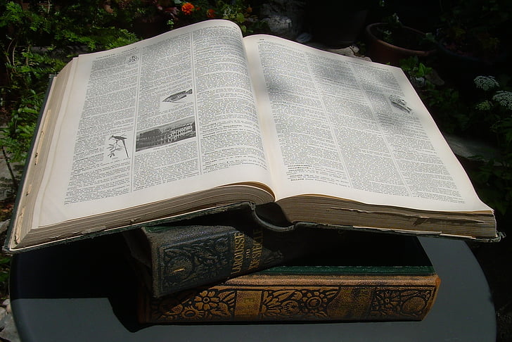 dictionary, 20th century, larousse, culture