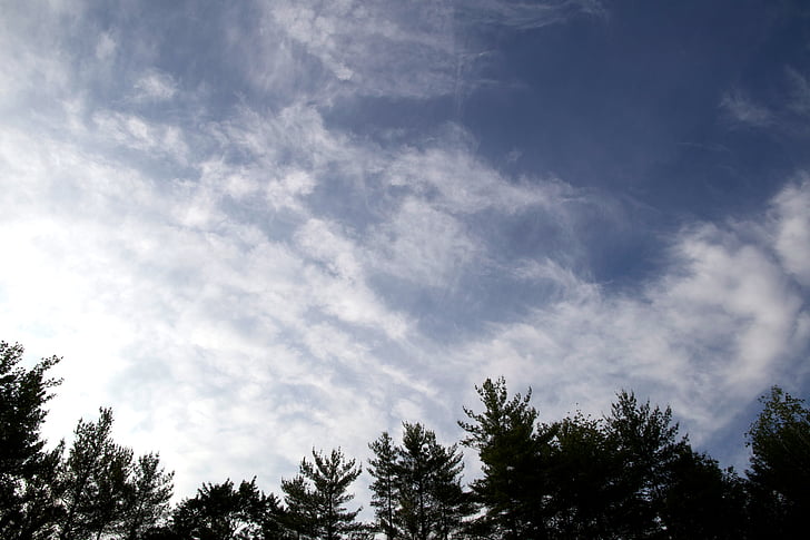 mraky, obloha, Příroda, modrá, strom, venku, Cloud - sky