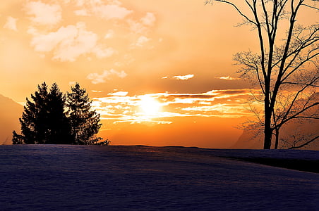 sunrise, winter, outlook, landscape, sky, skies, morgenstimmung
