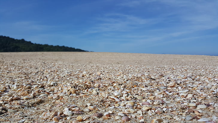 beach, mar, sand, shell, spooning, nature, caraguatatuba