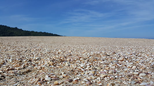 Beach, Mar, Sand, Shell, Spooning, Luonto, Caraguatatuba