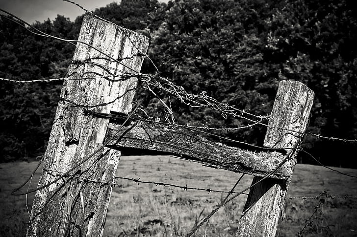 wood, fence post, pile, fence, weathered, nature, rustic