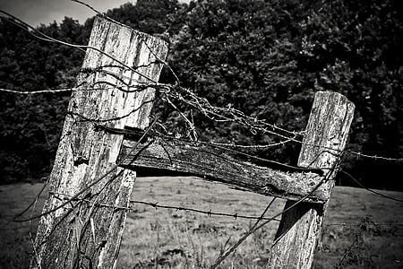 madeira, poste de cerca, pilha, cerca, resistido, natureza, rústico
