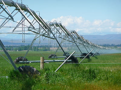 irrigation, agriculture, farming, sprayer, sprinkling, watering, agricultural