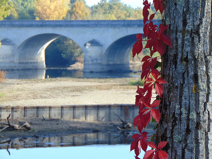 puente, rojo, agua, paisaje, naturaleza, árbol, arcos