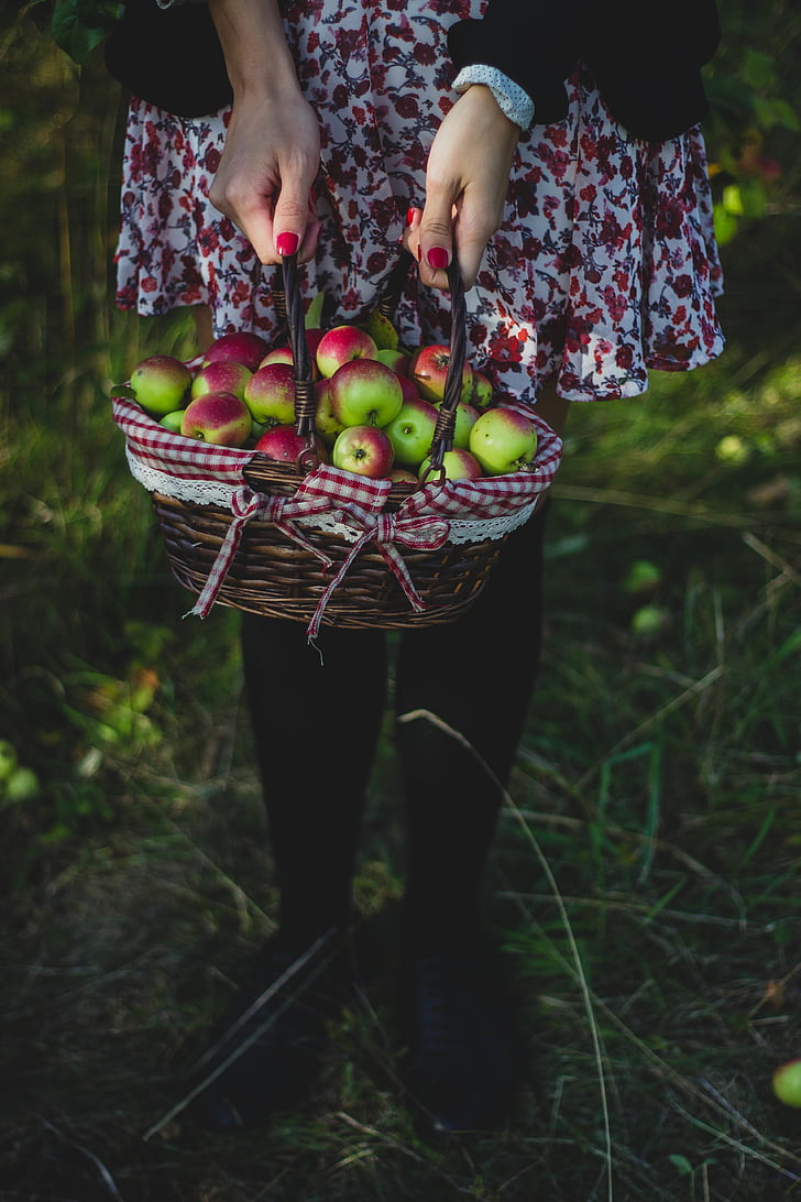 apple, basket, fruit, food, green, grass, outdoor